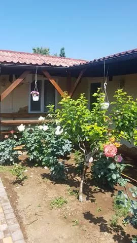 . Гостевой дом Есения. Заозерное