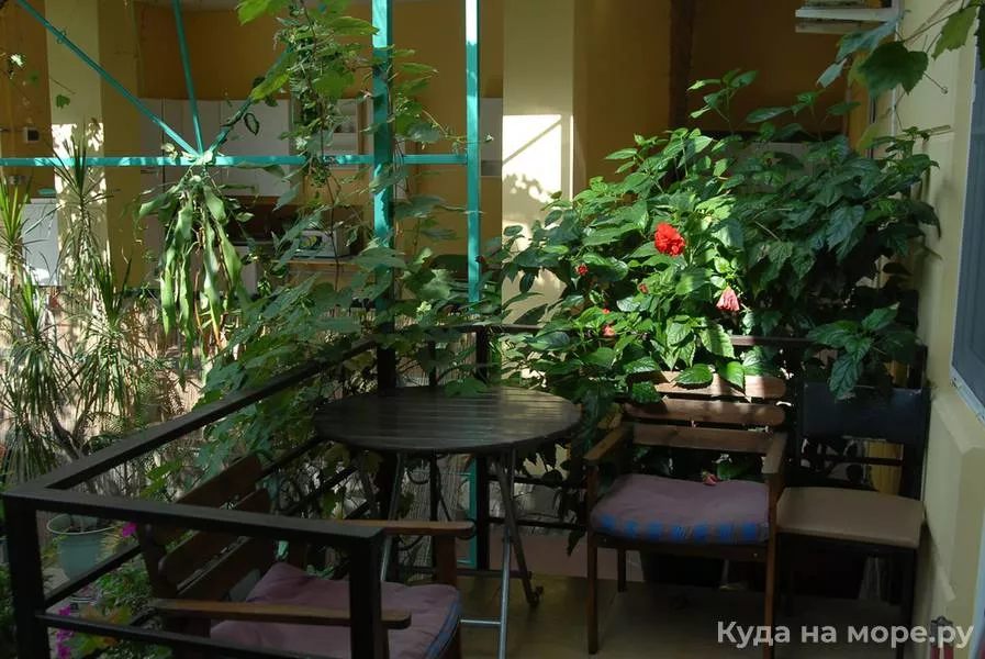 № 13 Классик 3-х местный «Монро». Гостевой дом «Фламинго». Архипо-Осиповка