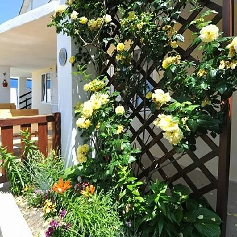 . Гостевой дом "Эдгар". Благовещенская