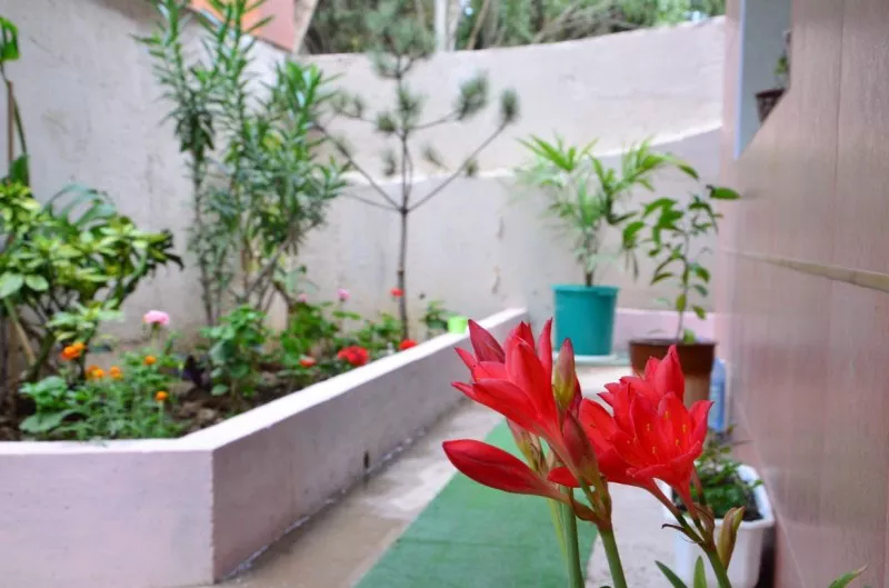 . Гостевой дом «Отель Людмила». Алушта . Гостевой дом «Отель Людмила». Алушта