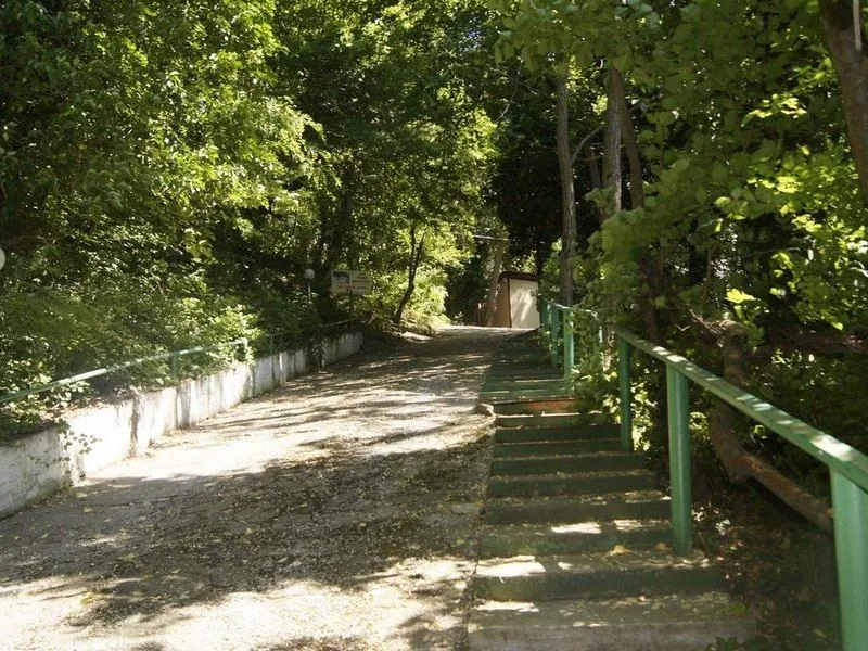 . Кемпинг «Море сосен». Джанхот