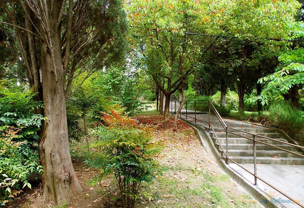 . Санаторий Урал. Сочи . Санаторий Урал. Сочи