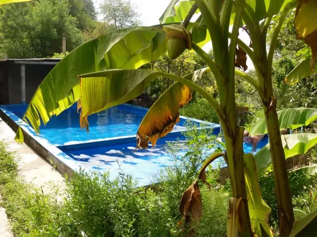 . Пансионат Семейный. Головинка