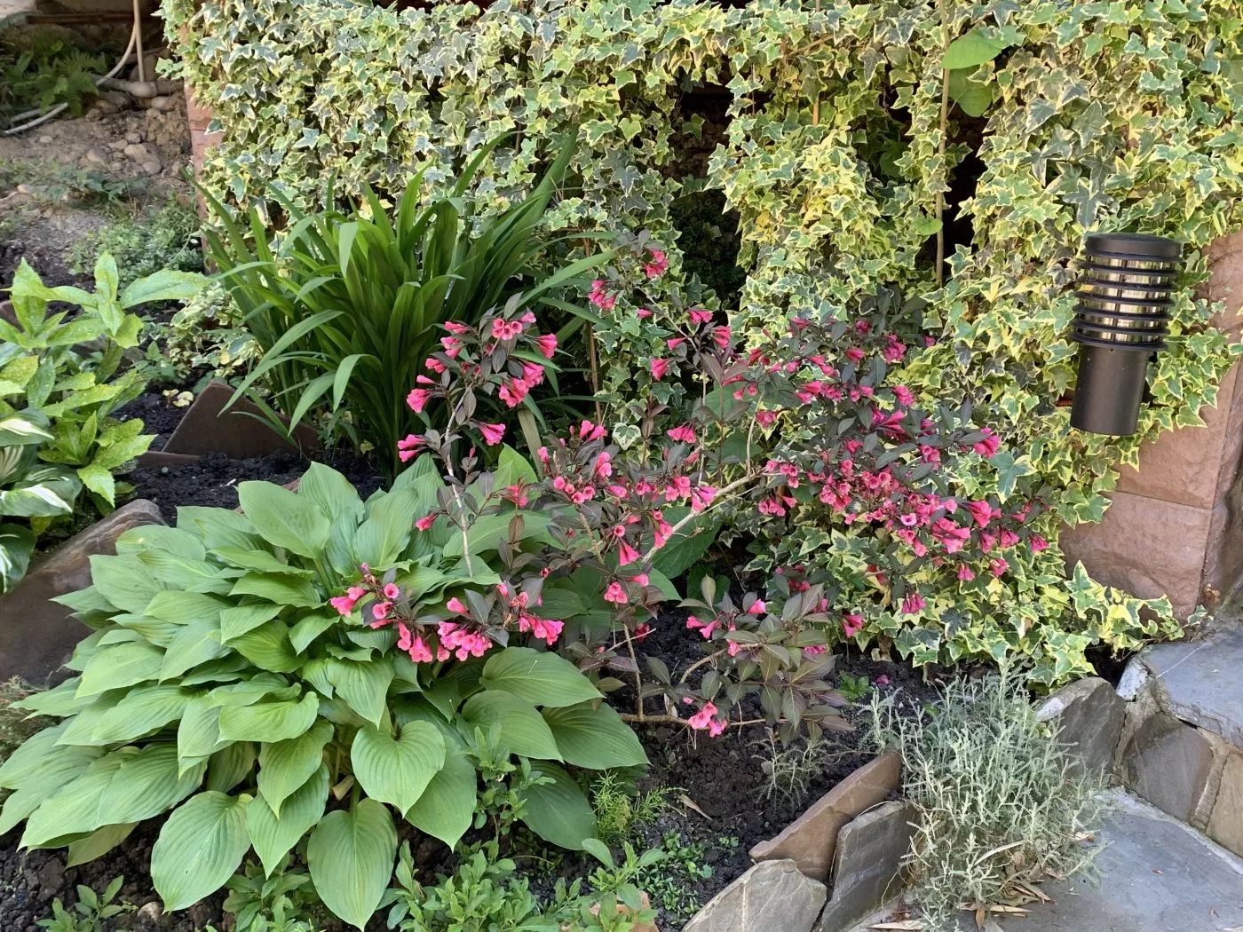 . Гостевой дом «на Таллинской». Лоо