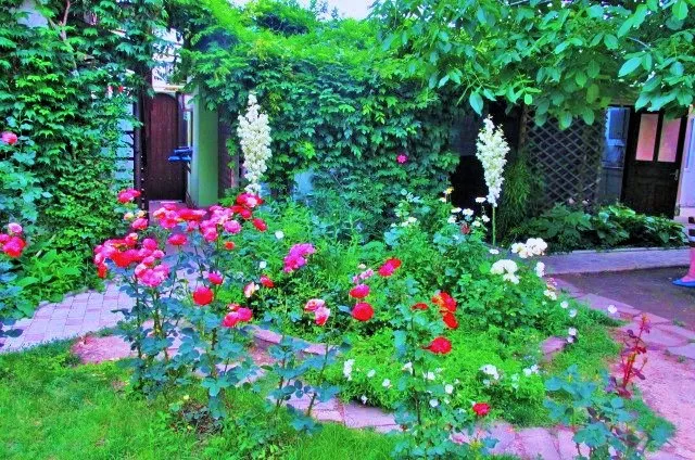 . Гостевой дом "Прибрежный". Симферополь