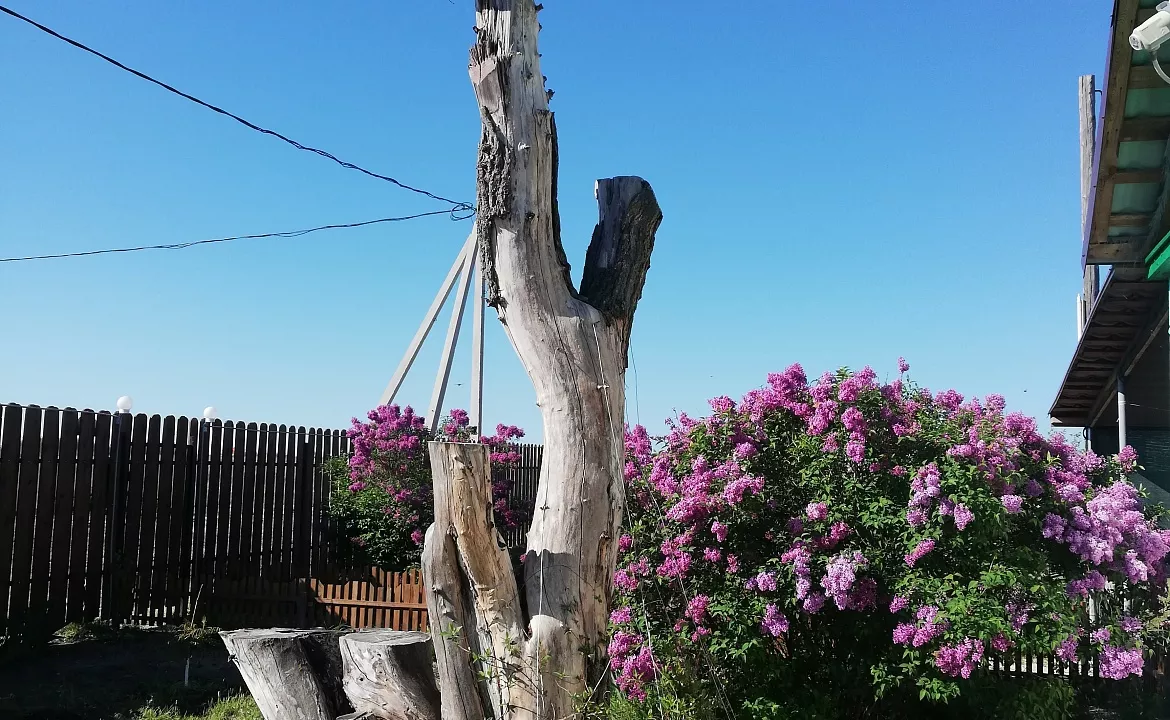 Домик у моря 4х-местный. Гостевой дом Домик у моря Пролетарская 152. Должанская