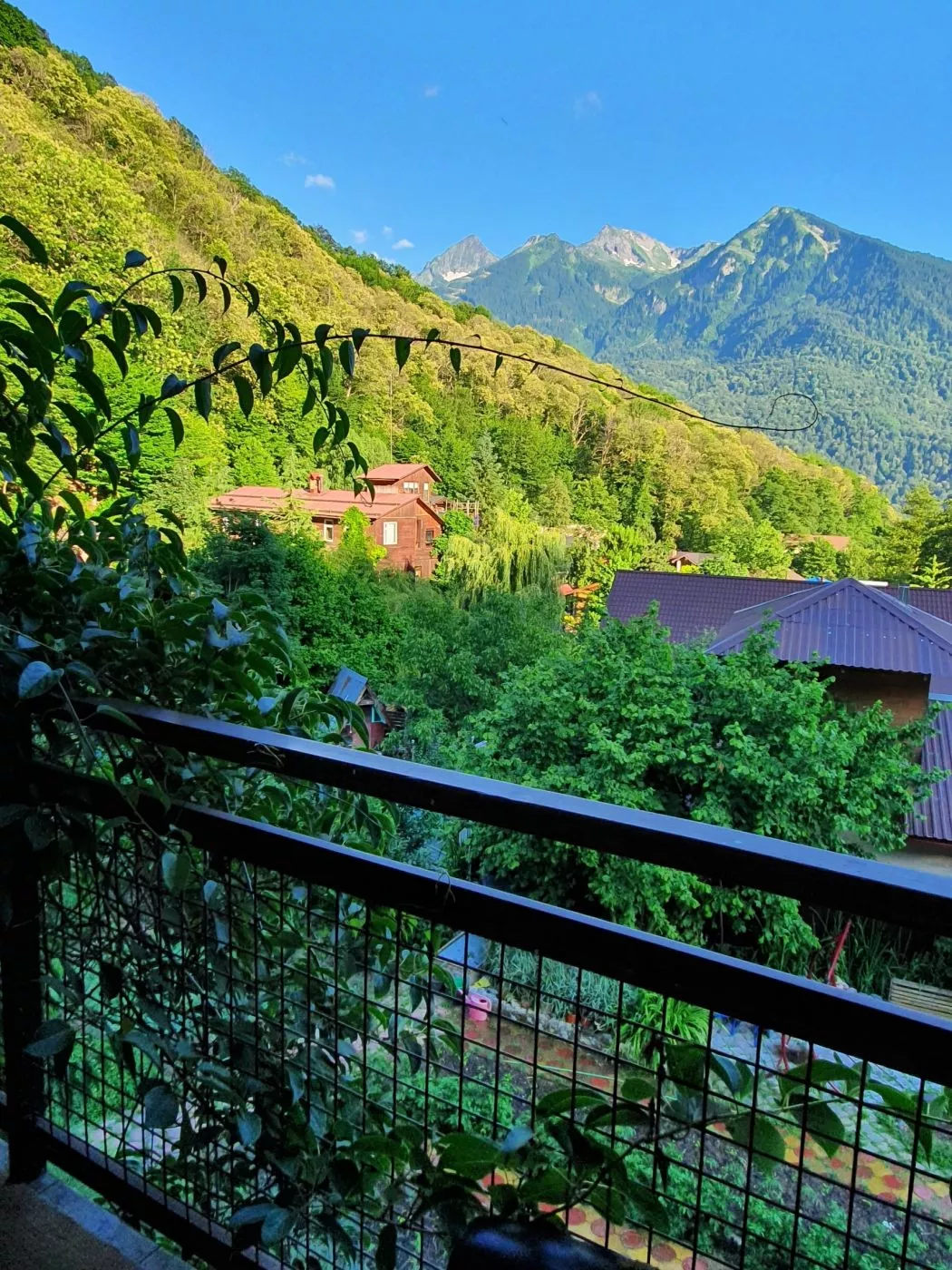 . Гостевой дом Родник. Красная Поляна