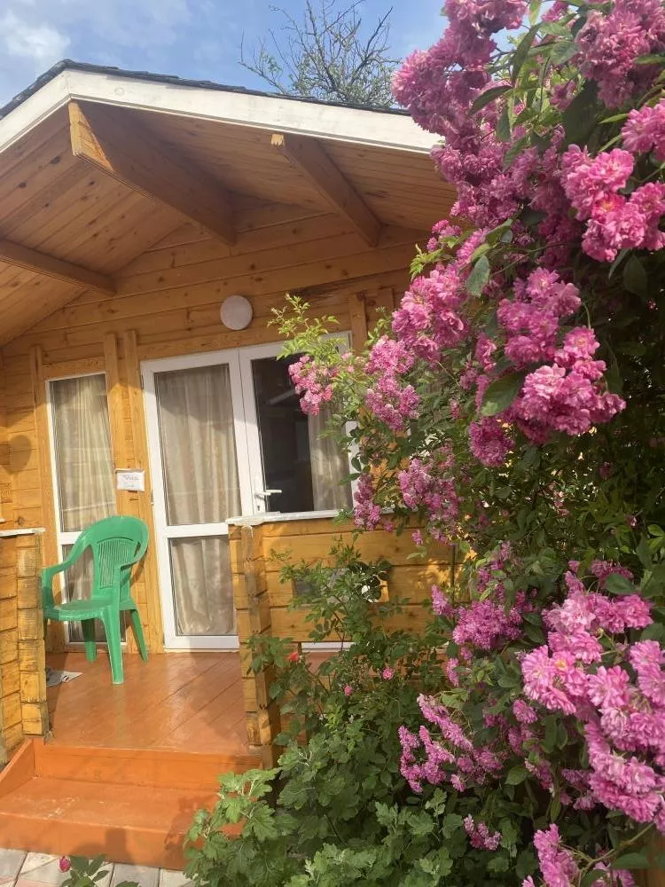 . Гостевой дом "Ролан". Новый Афон