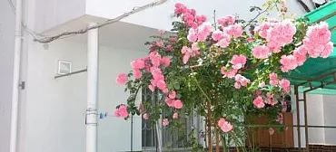 Гостевой дом Мария - Анапа