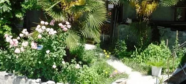 Пансионат Семейный