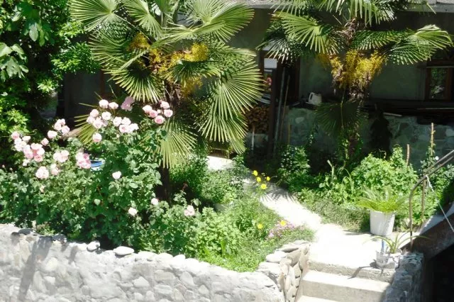 . Пансионат Семейный. Головинка