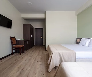 СТАНДАРТ ТРЕХМЕСТНЫЙ. ЭКОДОМ АДЛЕР ****. 