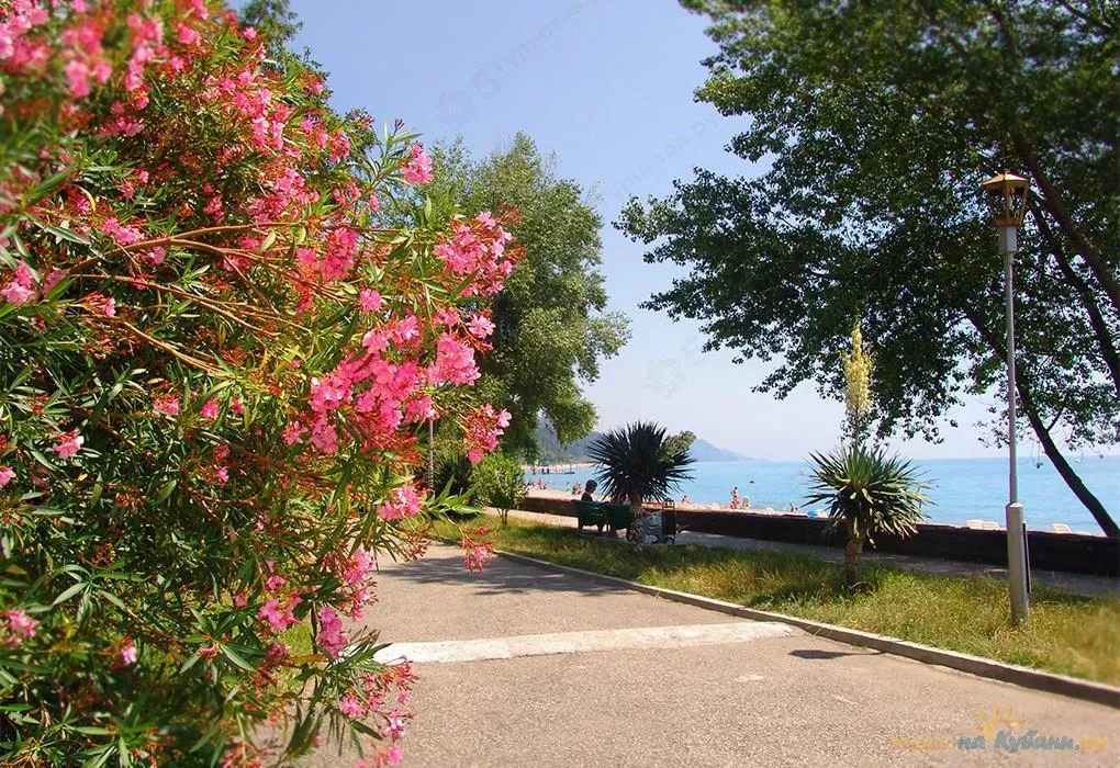 . Санаторий Урал. Сочи . Санаторий Урал. Сочи