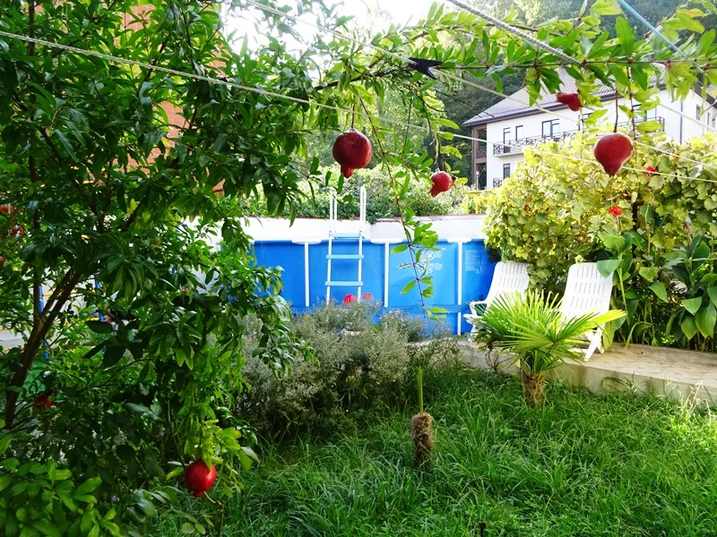 . Гостевой дом Самшит. Якорная Щель