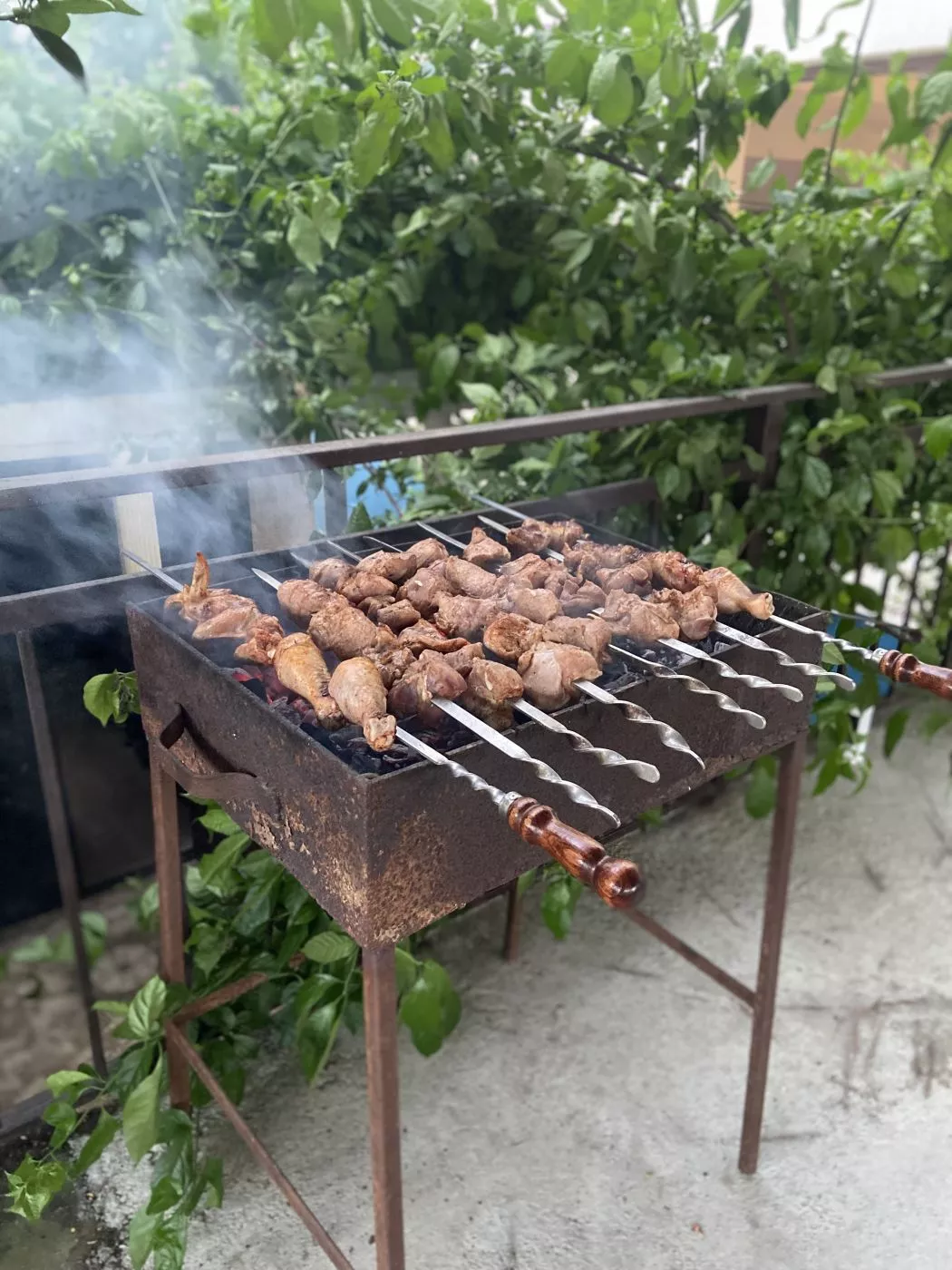 . Гостевой дом Надежда в Гаграх. Гагра