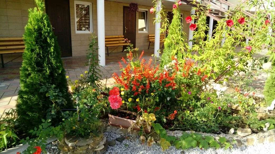 . Гостевой дом "Татьяна". Джубга . Гостевой дом "Татьяна". Джубга