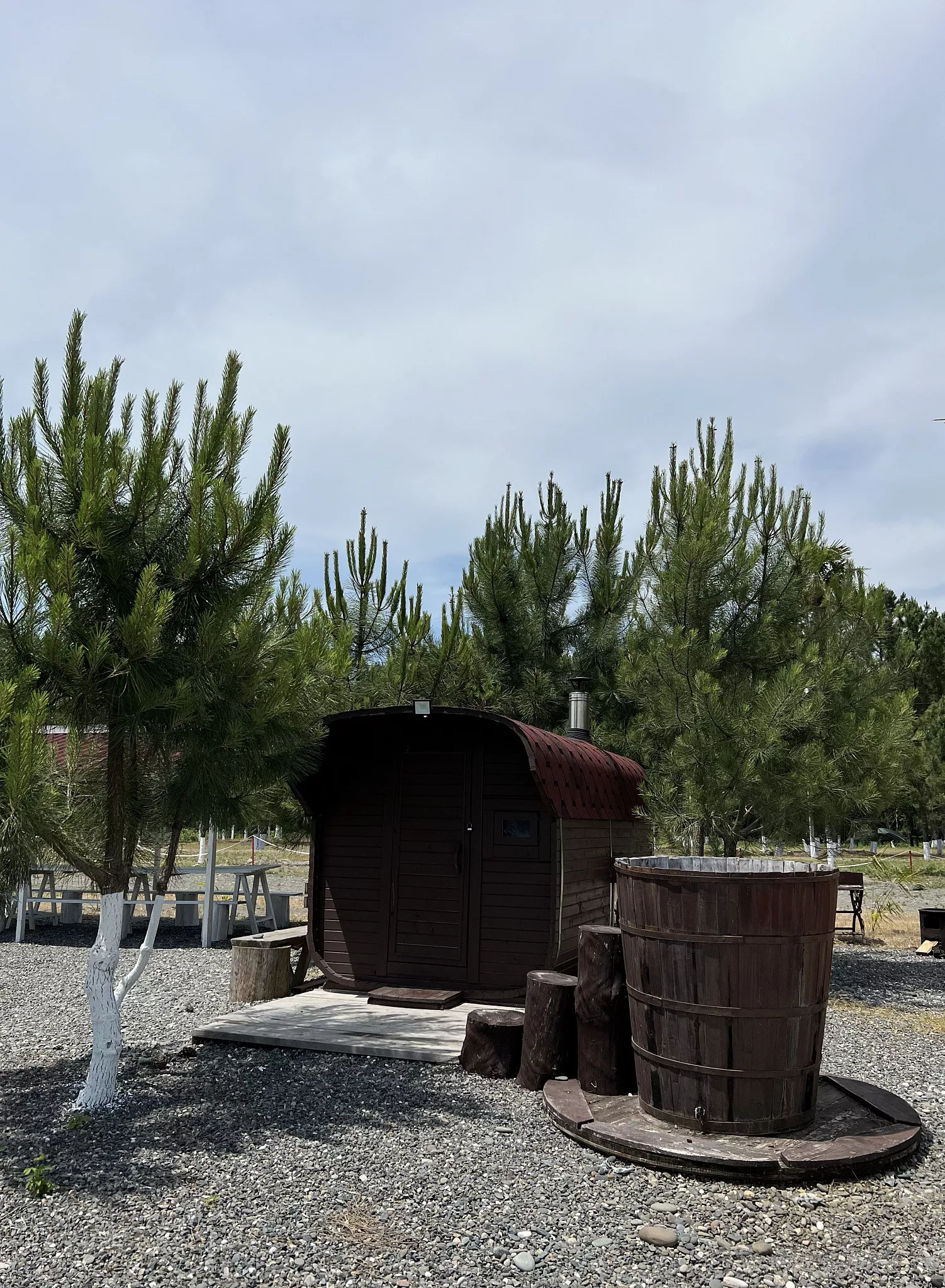 . База отдыха Сосновый бор. Сухум