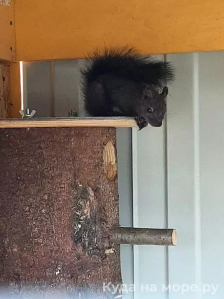 . Частный сектор Должанская Коса . Должанская