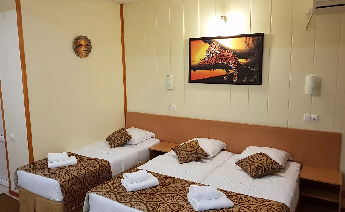 Люкс с верандой. Отель АСТОН. Нижнее Джемете