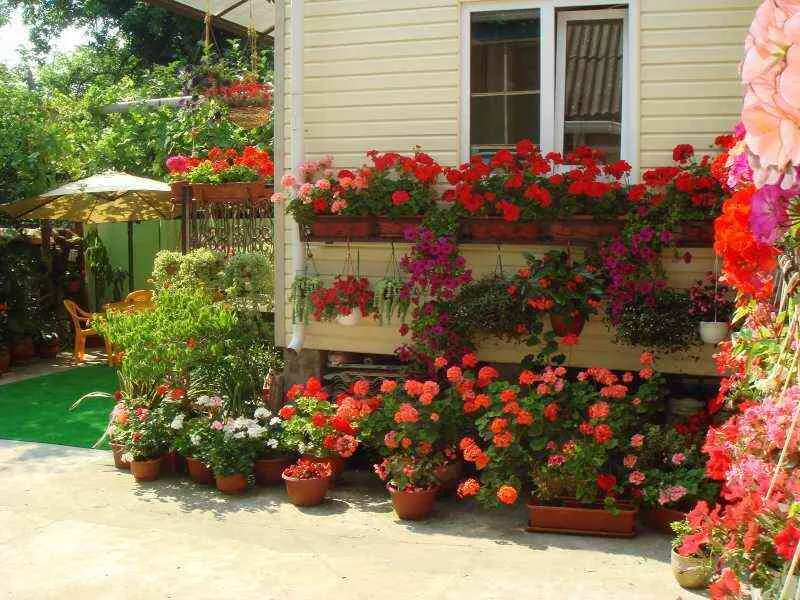 . Частный сектор «Владислав». Сочи