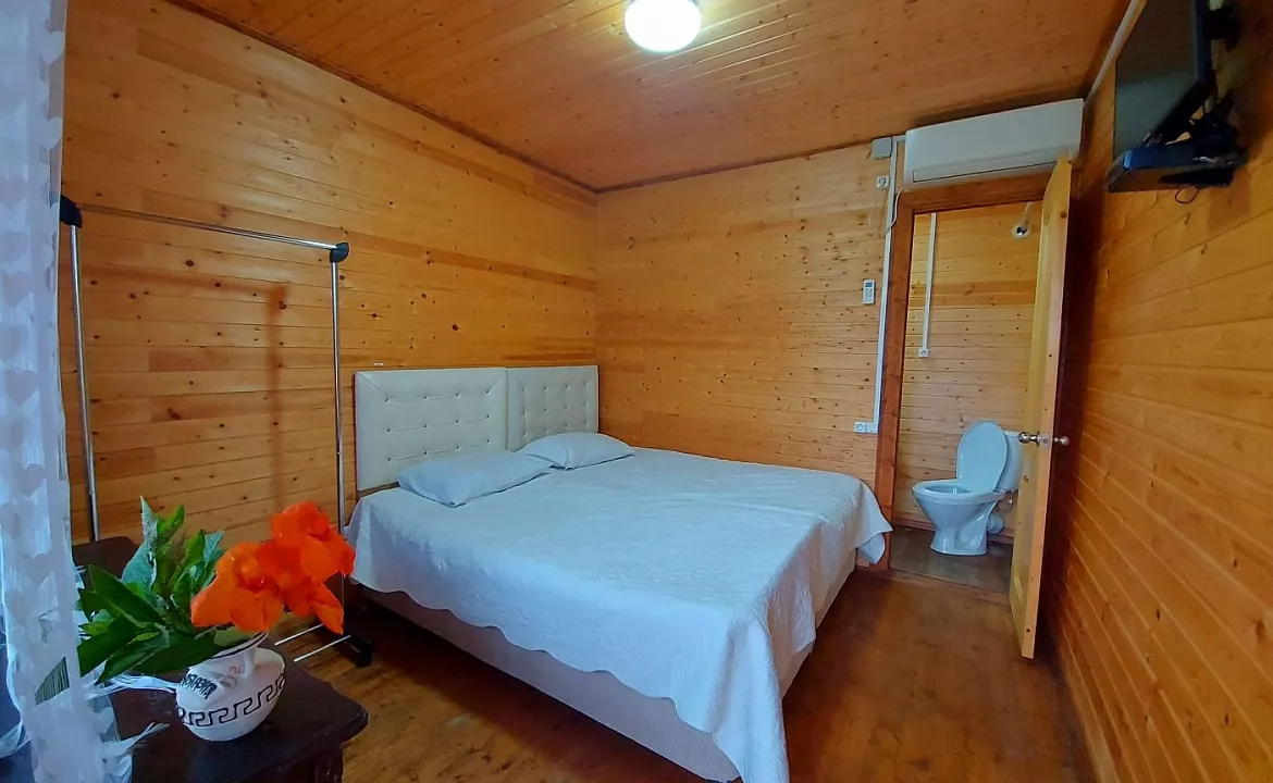 Двухместный стандарт . Гостевой дом гостевой дом Новая Гагра. Гагра