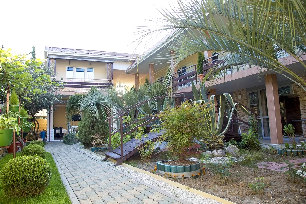 . Гостевой дом «Агава» - Адлер. Адлер