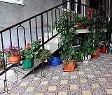 Стандарт. Гостиница "Долина цветов". Стандарт. Гостиница "Долина цветов".