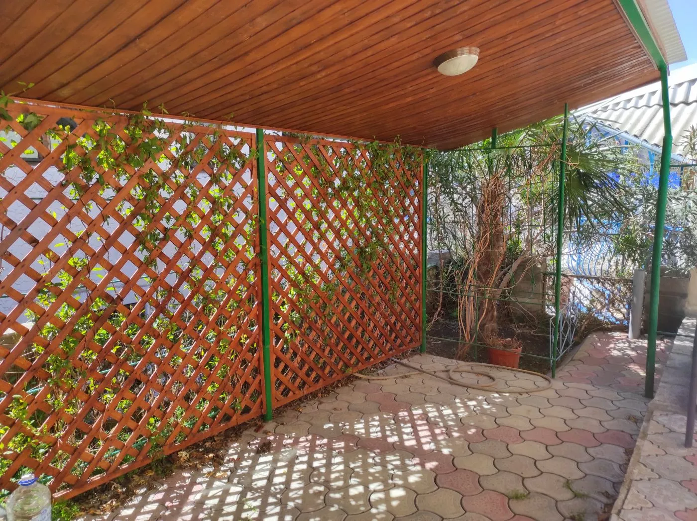 . Гостевой дом Green Patio. Рыбачье