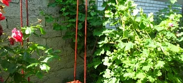 Частный сектор Отдых у Александра