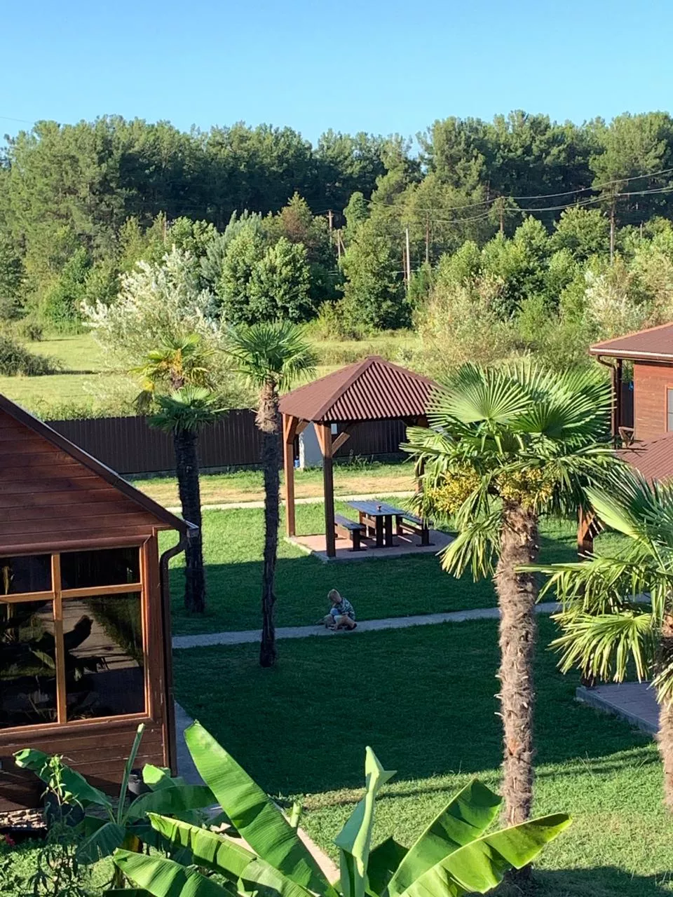 . Гостевой дом "Лдзаа". Пицунда