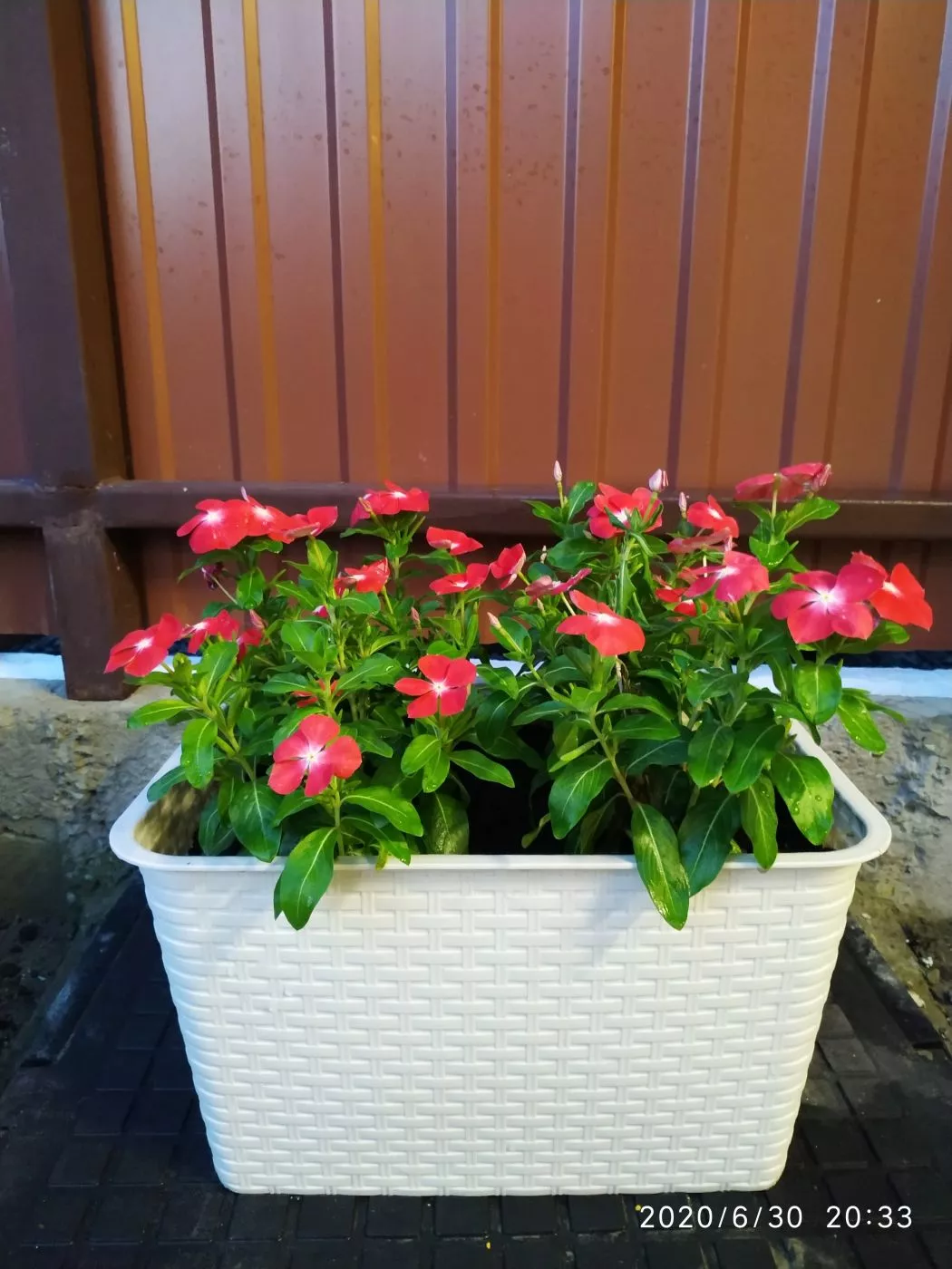 . Частный сектор Гостевой дом "Leto". Кабардинка . Частный сектор Гостевой дом "Leto". Кабардинка