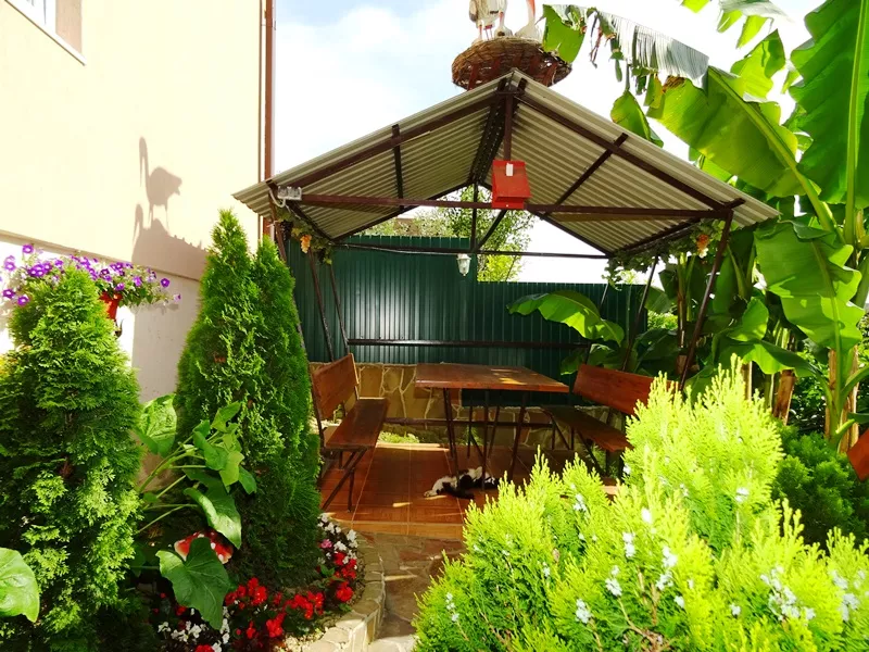 . Гостевой дом "MoreLeto". Адлер