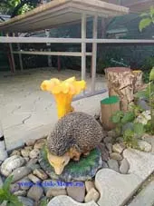 . Частный сектор "Ирина". Ейск