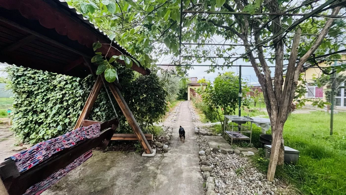 . Частный сектор "Радонежъ". Гудаута