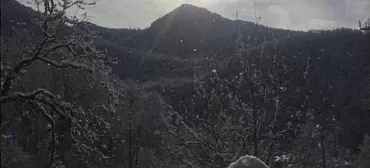 Гостевой дом Kastana Гостевой дом Kastana