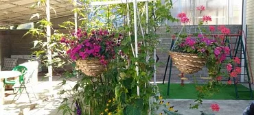 Гостевой дом «Квартирки у моря» (кухня в номере)