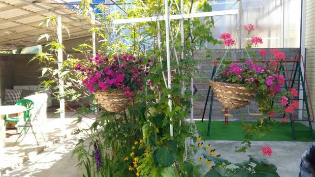 . Гостевой дом «Квартирки у моря» (кухня в номере). Вардане