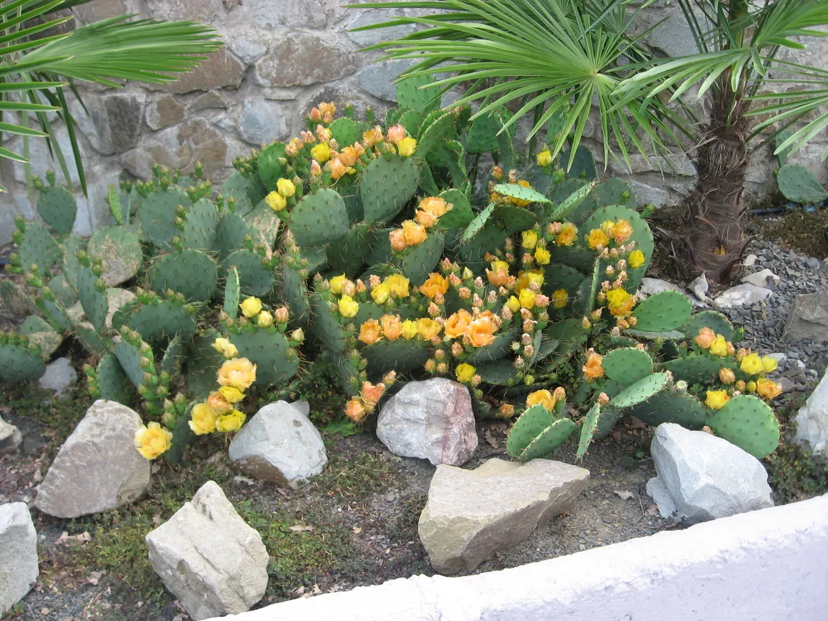 . Отель «Ра-Дуга». Партенит