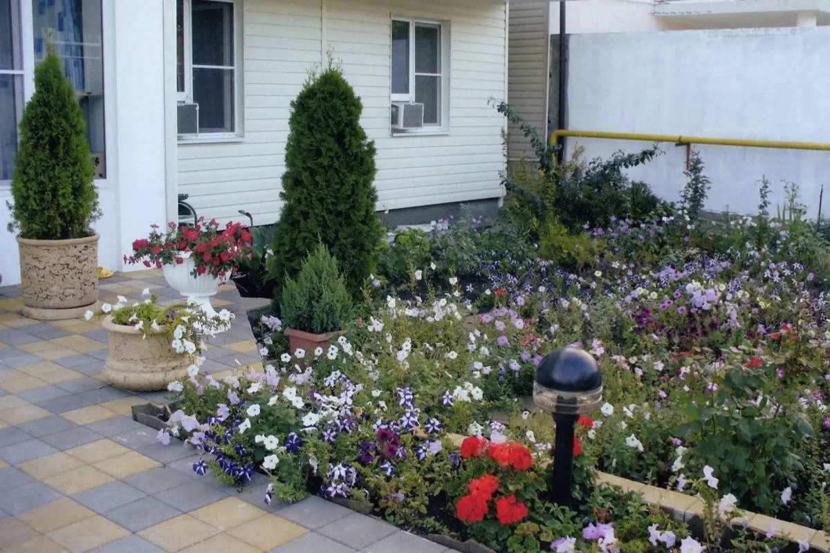 . Отель "Mini-otel Galant". Витязево . Отель "Mini-otel Galant". Витязево