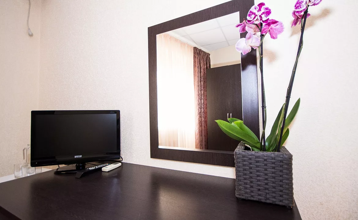 Стандарт 2-местный. Отель Робинзон. Анапа