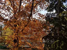 Квартира в многоквартирном доме Посуточно 3-комн квартира в Крыму г. Алуште Квартира в многоквартирном доме Посуточно 3-комн квартира в Крыму г. Алуште