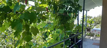 Гостевой дом "Ника" - Совет-Квадже Гостевой дом "Ника" - Совет-Квадже