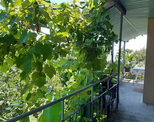 . Гостевой дом "Ника" - Совет-Квадже. Совет-Квадже