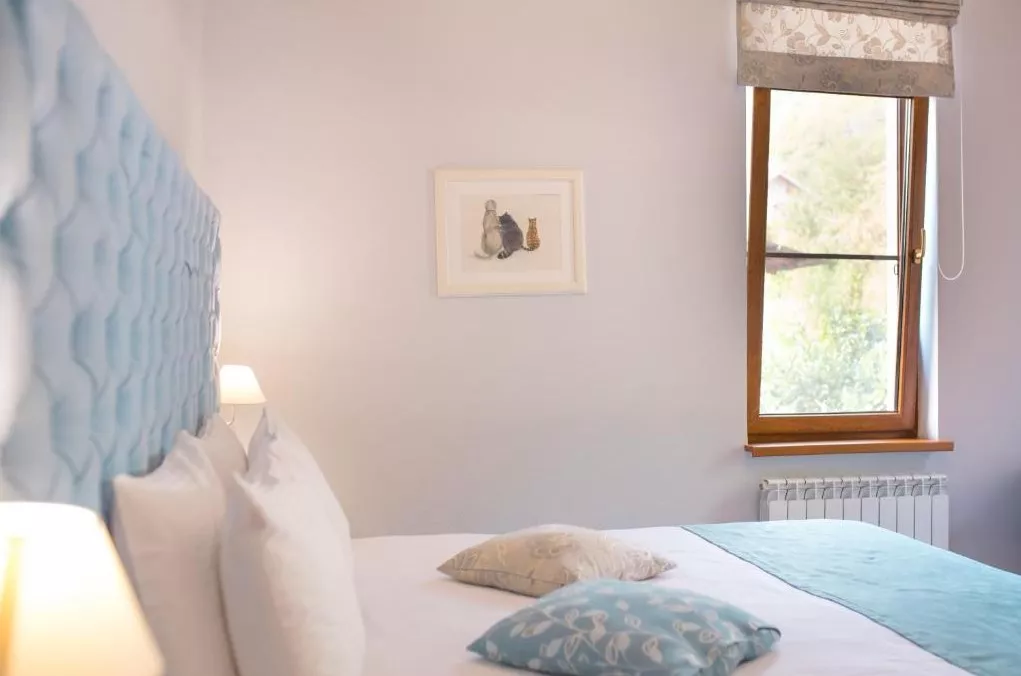 . Отель Alm Hotel. Красная Поляна