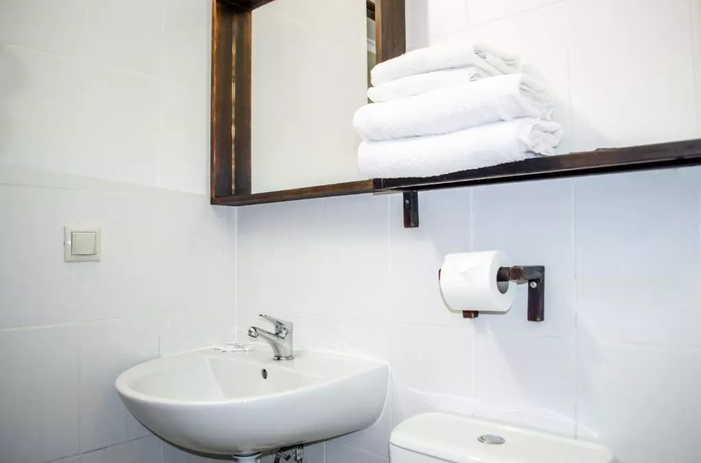  Двухместный номер с 2 отдельными кроватями. Отель Отель Альпийский двор. Красная Поляна