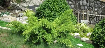 Гостевой дом "Нэста"