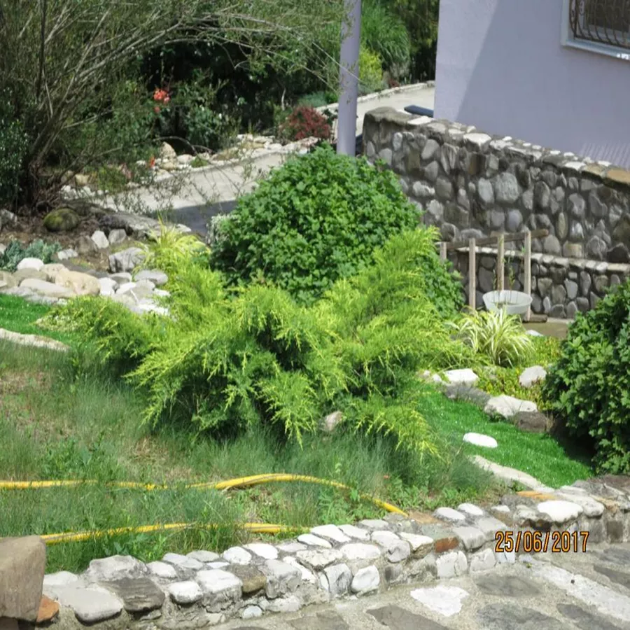 . Гостевой дом "Нэста". Небуг