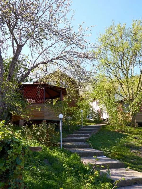 . Гостиница "Милли-Плодовая". Лоо