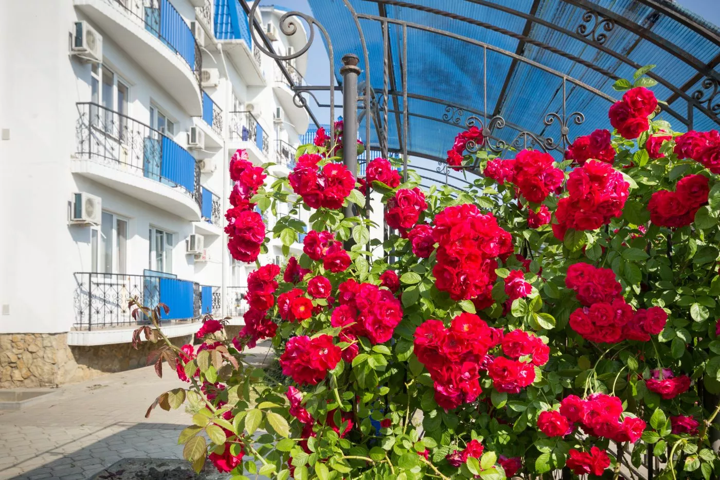 . Санаторий "Рябинушка". Анапа