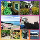 Частный сектор "Лилу" 10мин до моря